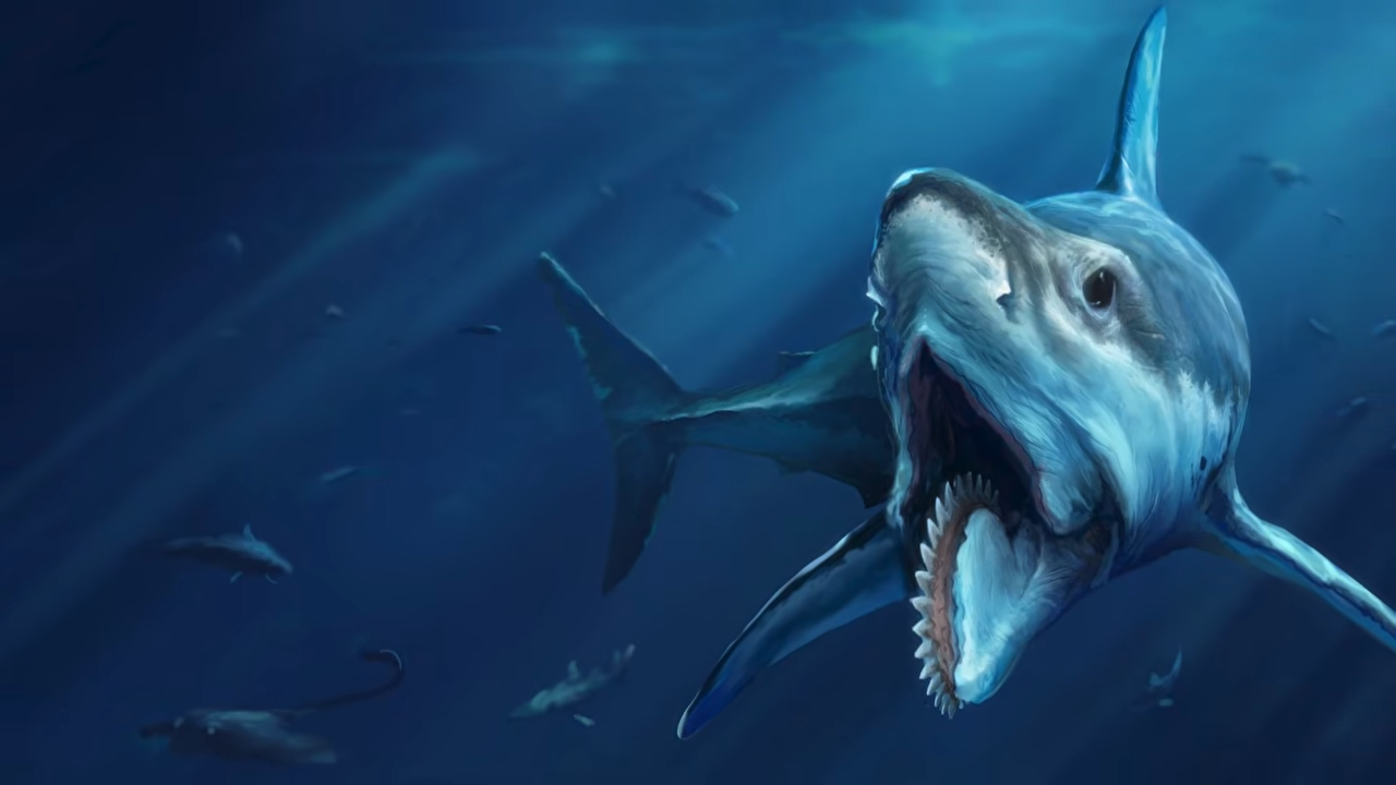 A 40-foot buzzsaw shark once lived in California, twice the size of a ...