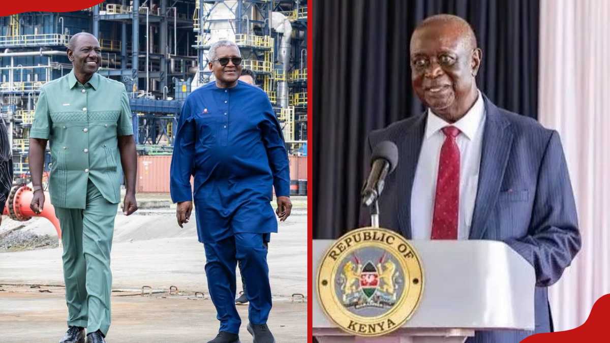 Oburu Oginga welcomes KSh 2.2 trillion Dangote refinery groundbreaking ...