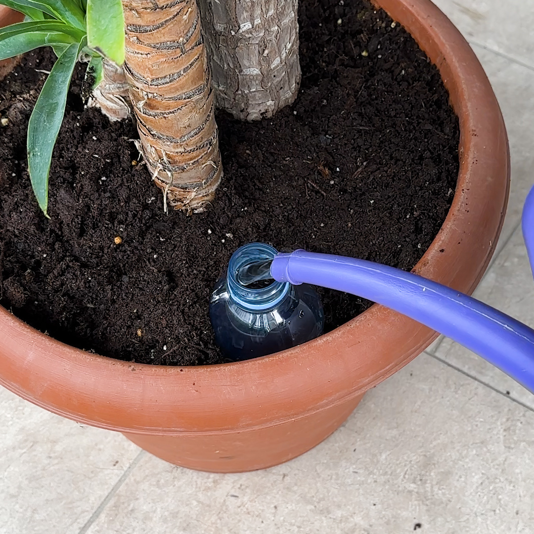 Clever way to water your plants