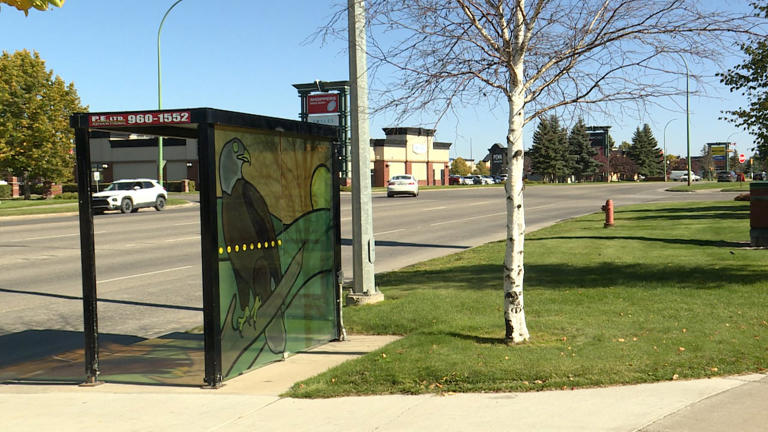 Prince Albert focuses on reconciliation with public art