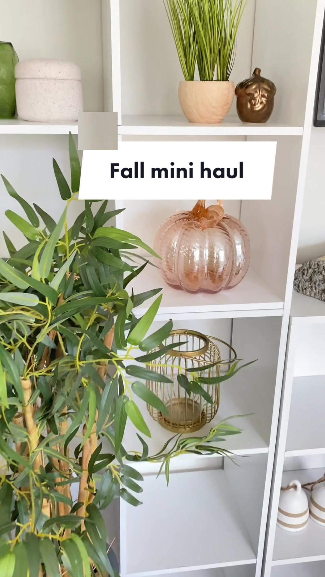 Cheap fall home decor finds for a cozy seasonal refresh