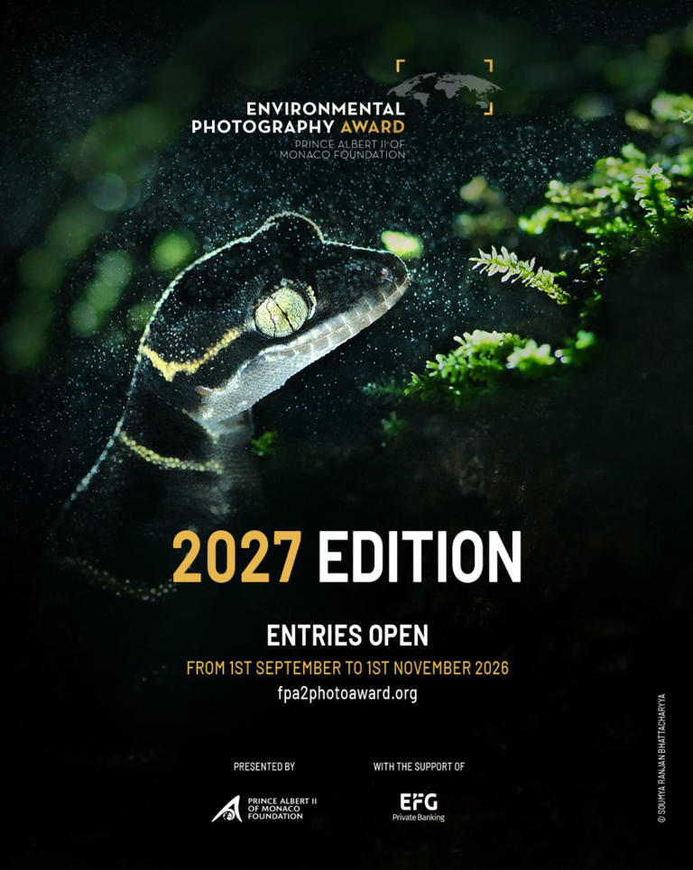 All award-winning photographers started somewhere