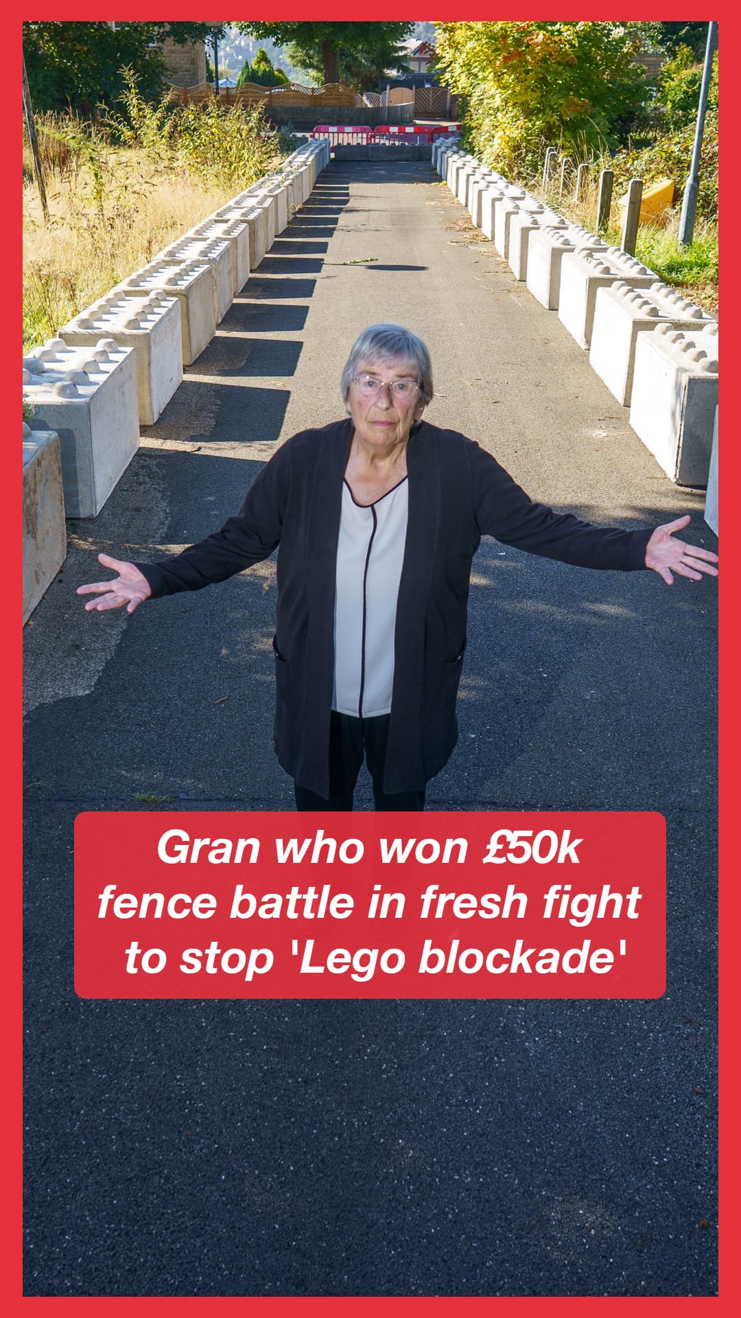Gran who won £50k fence battle in fresh fight against 'Lego blockade'