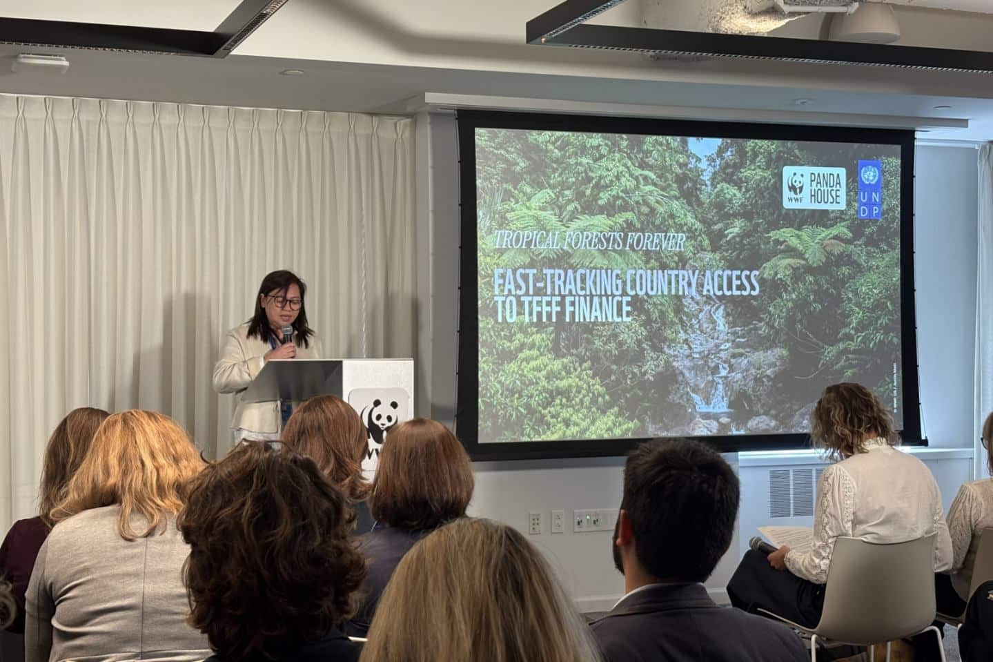 DENR seeks global financing program for forest restoration