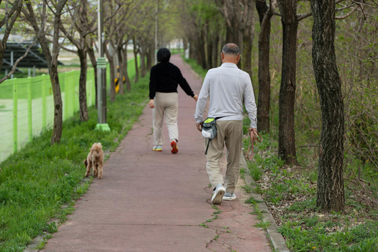 How much you walk every day is linked to dementia risk