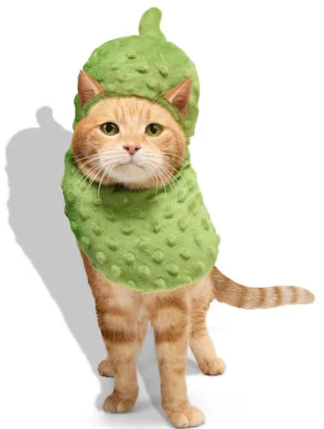 21 Petco Halloween Costumes For Anyone Loves Dressing Up Their Pet