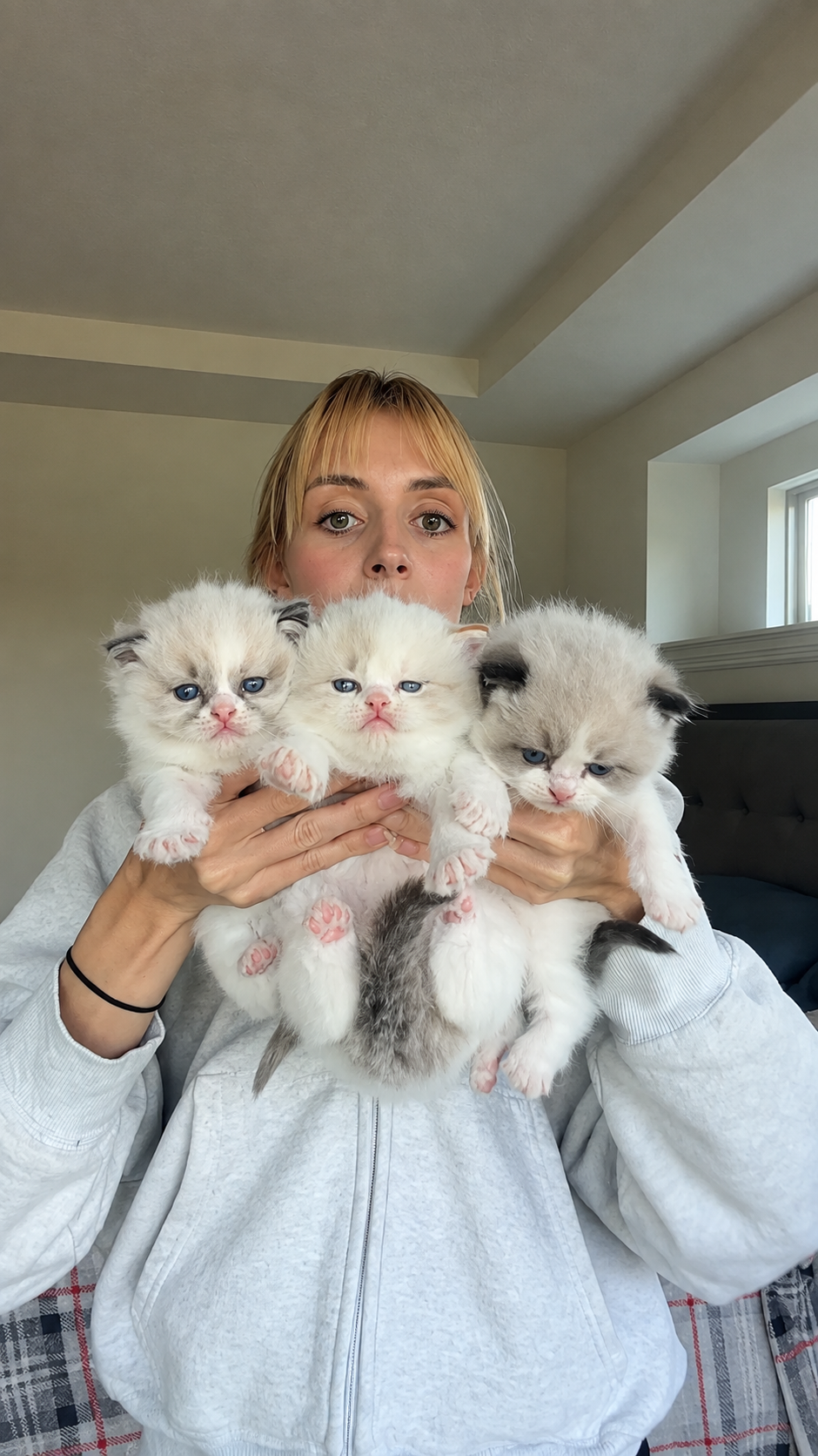 How the kittens are doing: An update