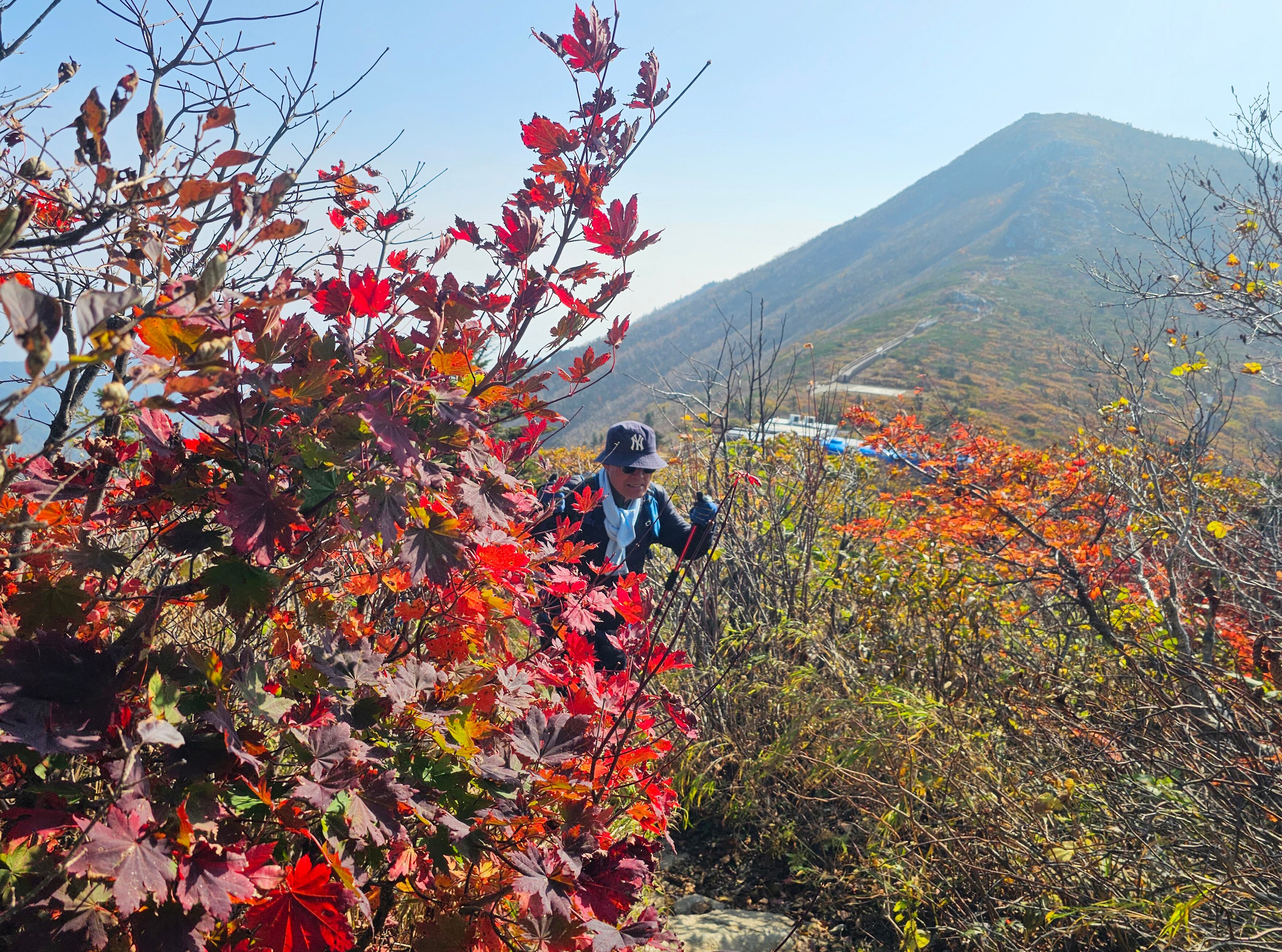 Cold Wind Triggers 5-Degree Drop October 1