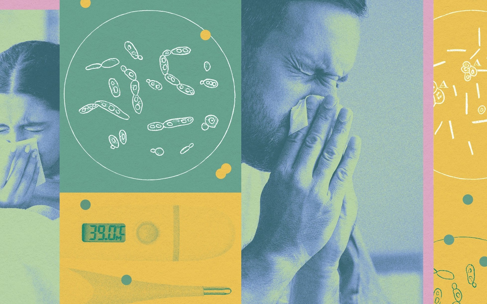 The viruses set to surge this autumn and how to protect yourself