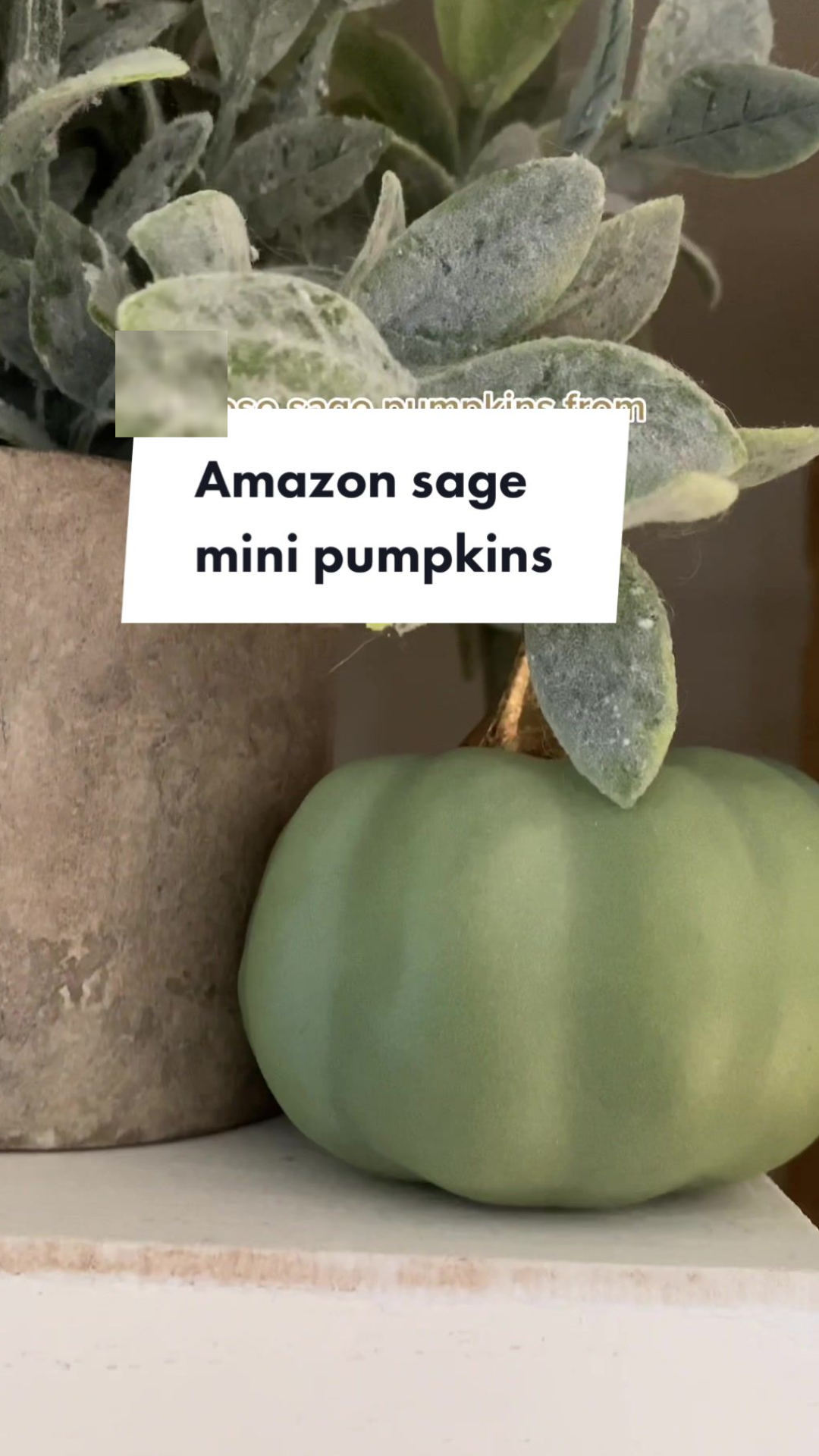 Simple seasonal styling with sage green mini pumpkins