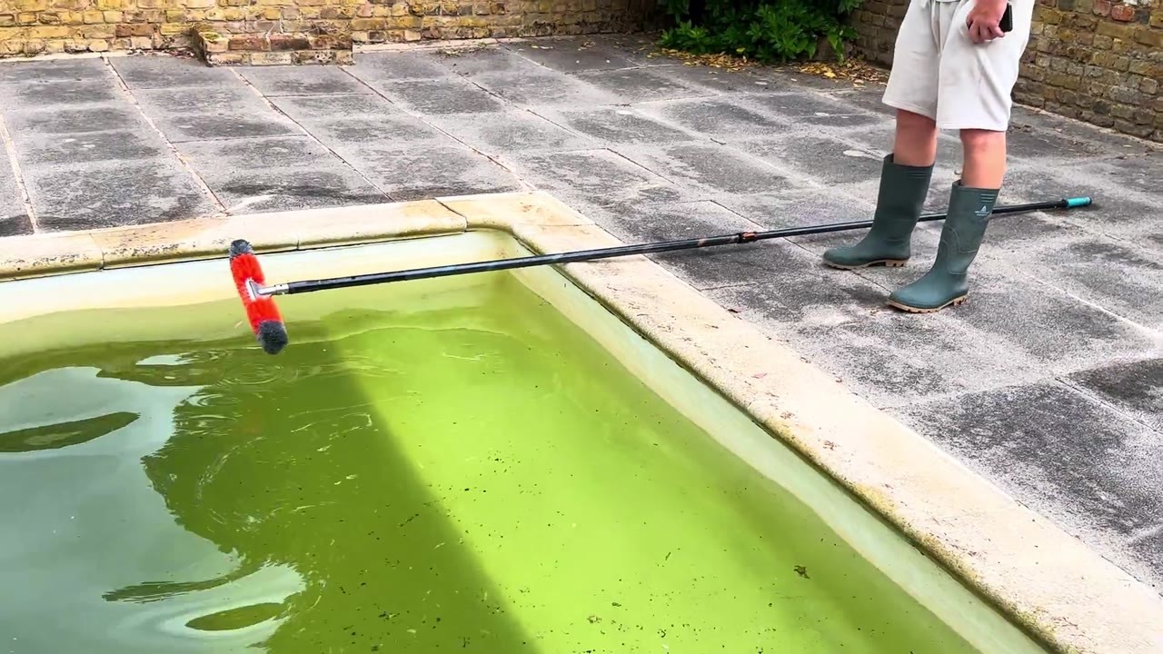 This pool was completely green - then the water started changing color ...