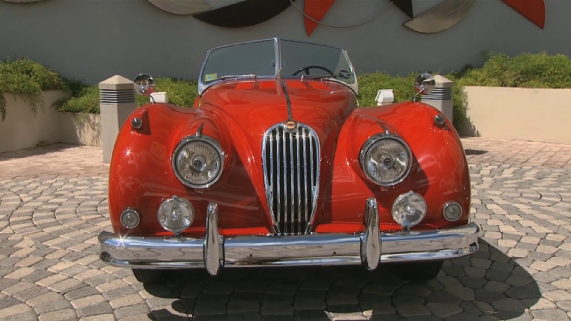 A rare Jaguar collection in Puerto Rico