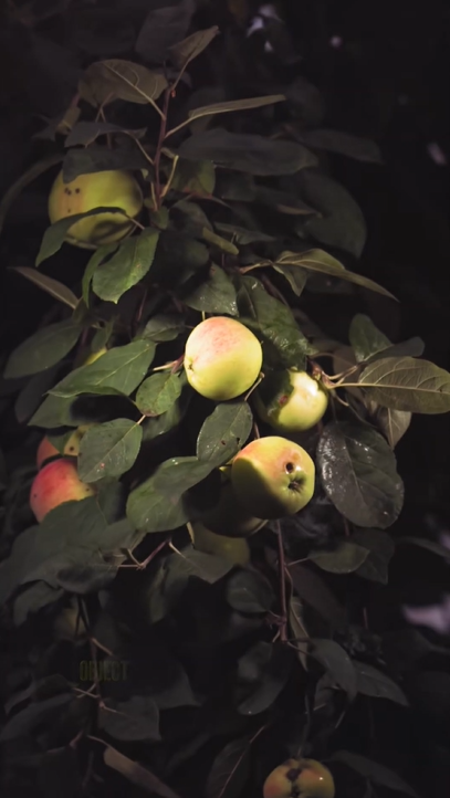 Apple explosion captured in stunning slow motion