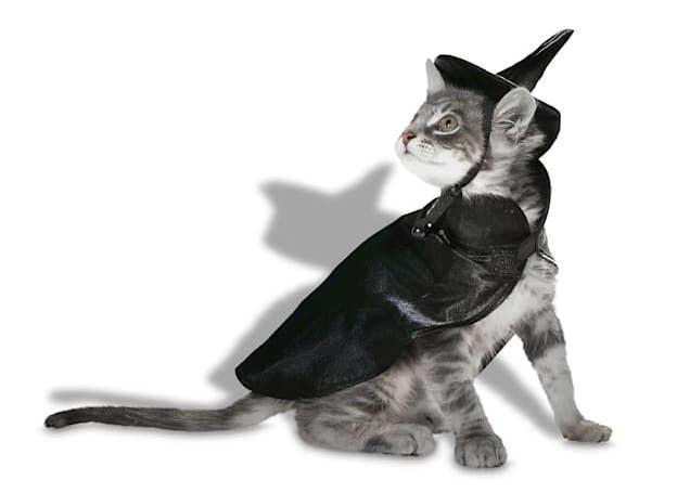 Just 20 Petco Halloween products that'll let your pet join in on the ...