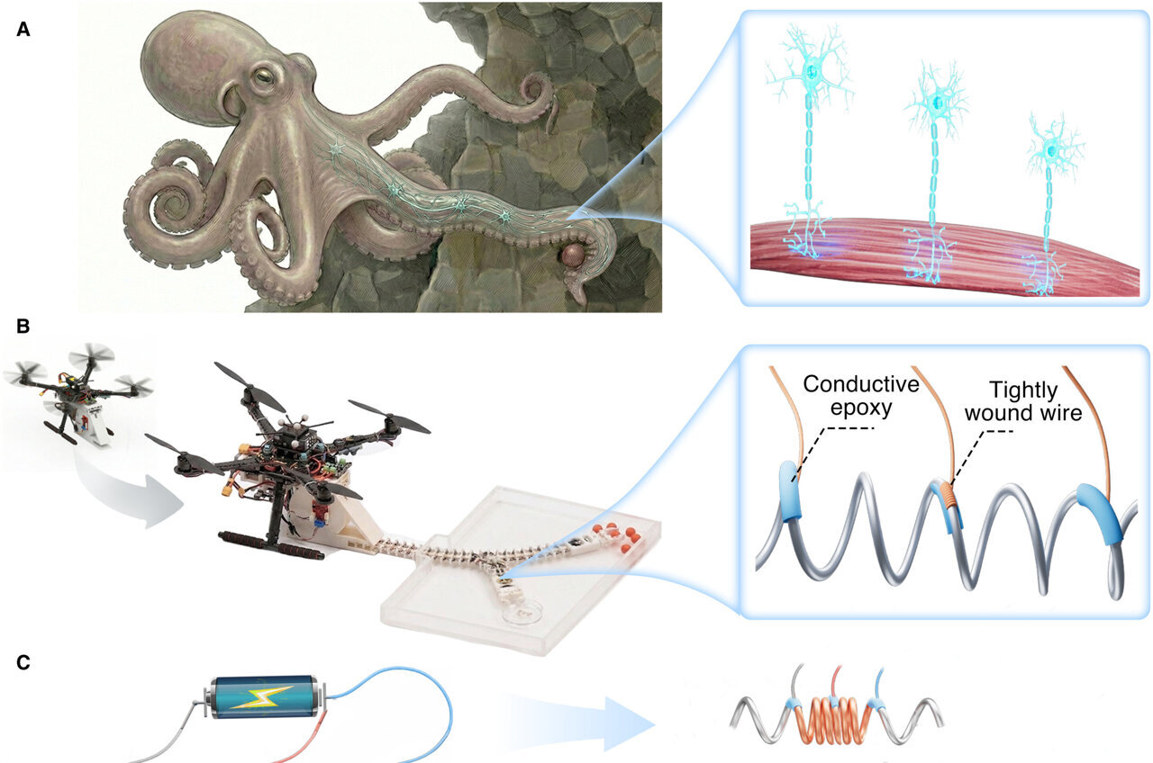 A continuous artificial muscle unlocks dexterous soft-robot motion