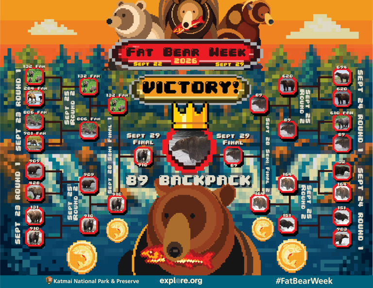 'Backpack' has been crowned Fat Bear Week champion: Inside the National ...