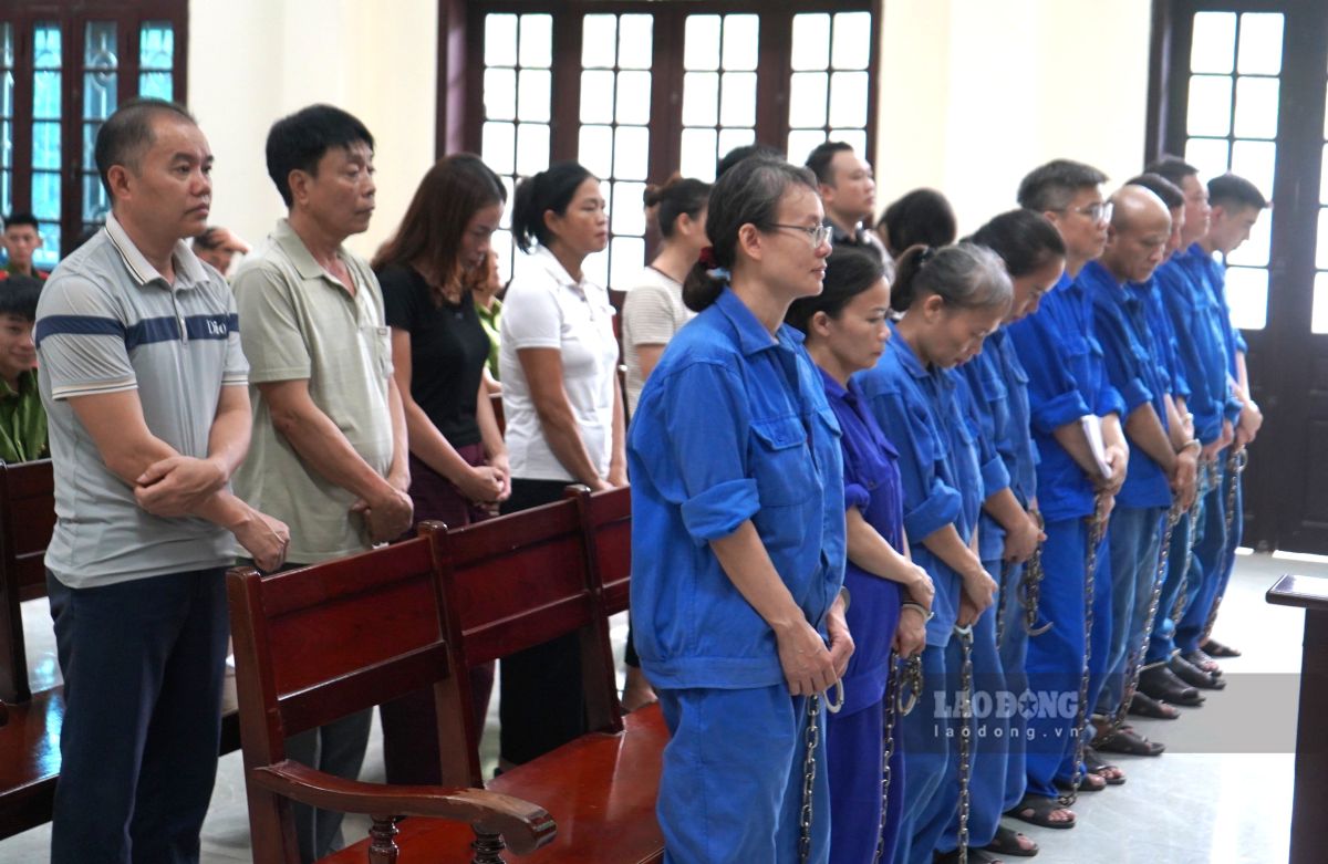 Tuyên án 17 bị cáo vụ vi phạm quy định về an toàn thực phẩm tại Đồ hộp Hạ Long