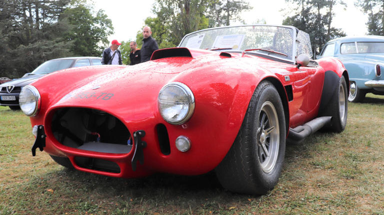 How many Shelby Cobras were made and what's one worth today?