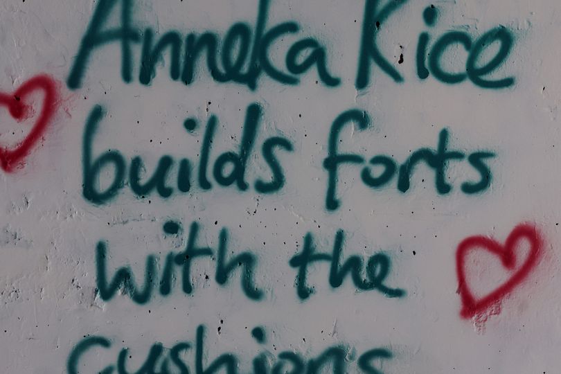 West Denton community urged to report celeb-obsessed graffiti artist to ...