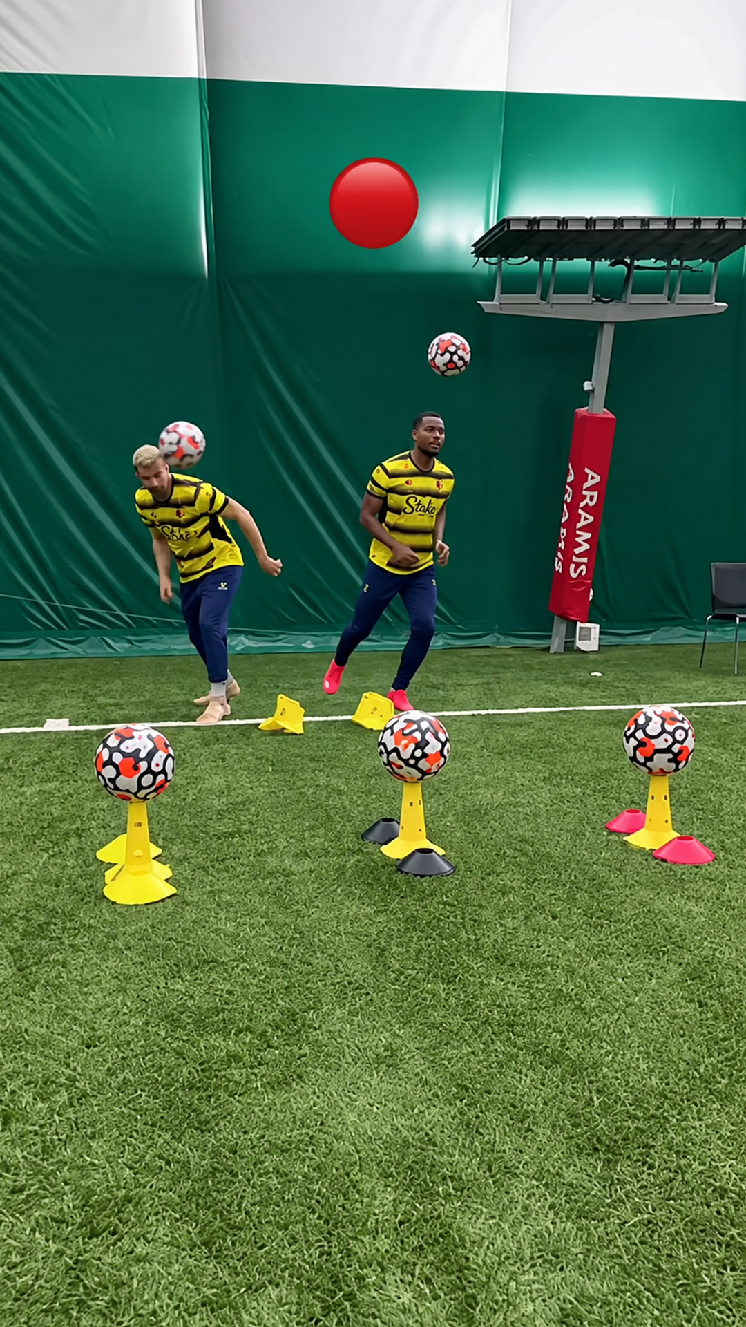 Football color reaction and agility drill with Watford