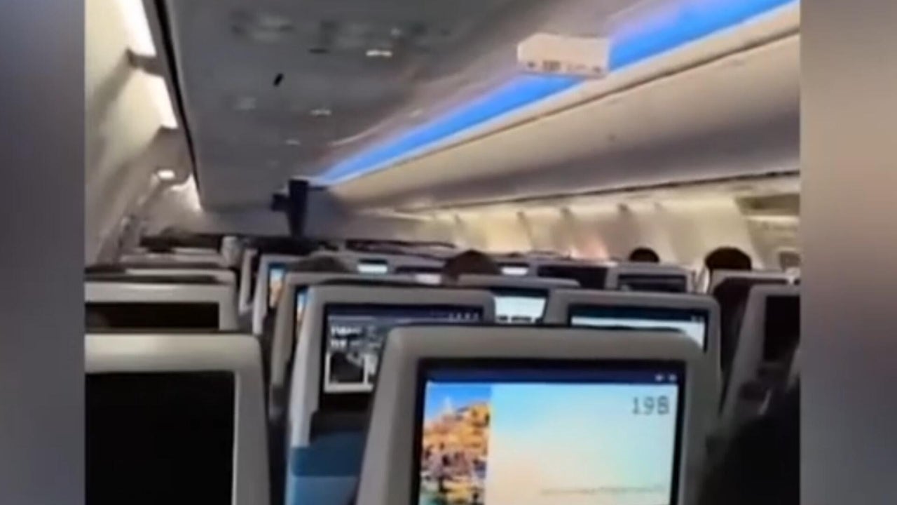 Latest on FlyDubai flight to Israel where passenger says co-pilot tried ...