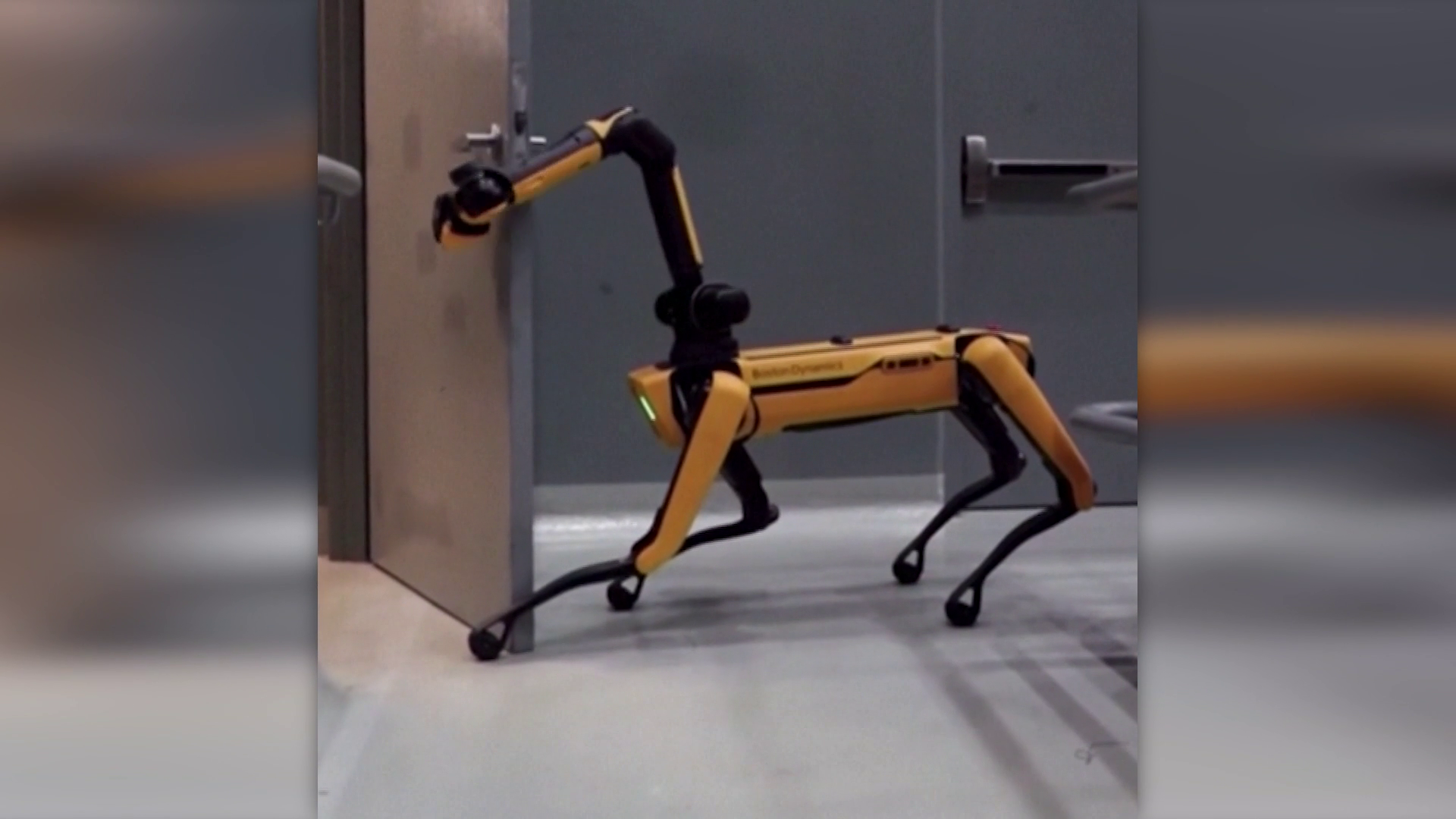 ICE adds fleet of Boston Dynamics robot dogs
