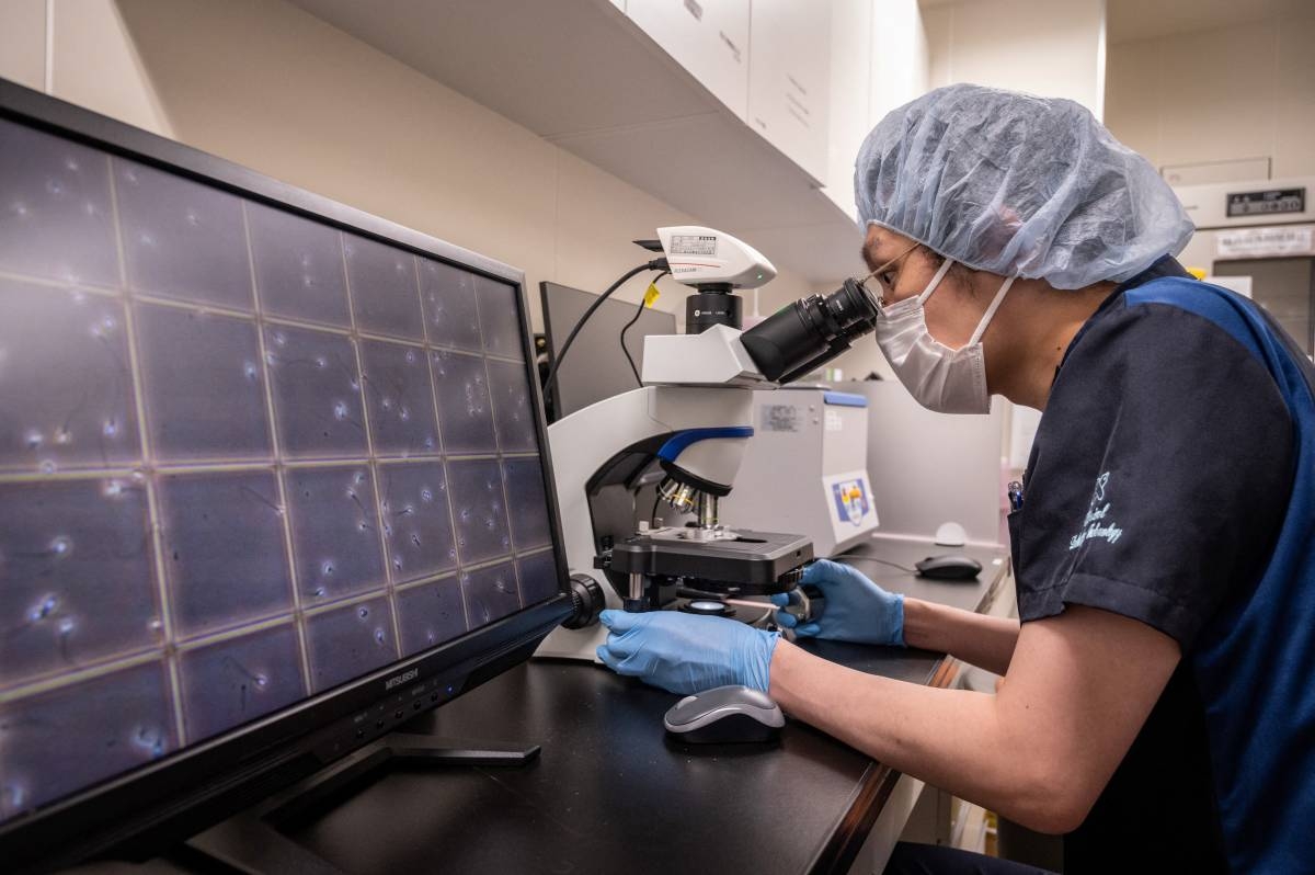 Japan hospital performs first surgery using heart muscle stem cells