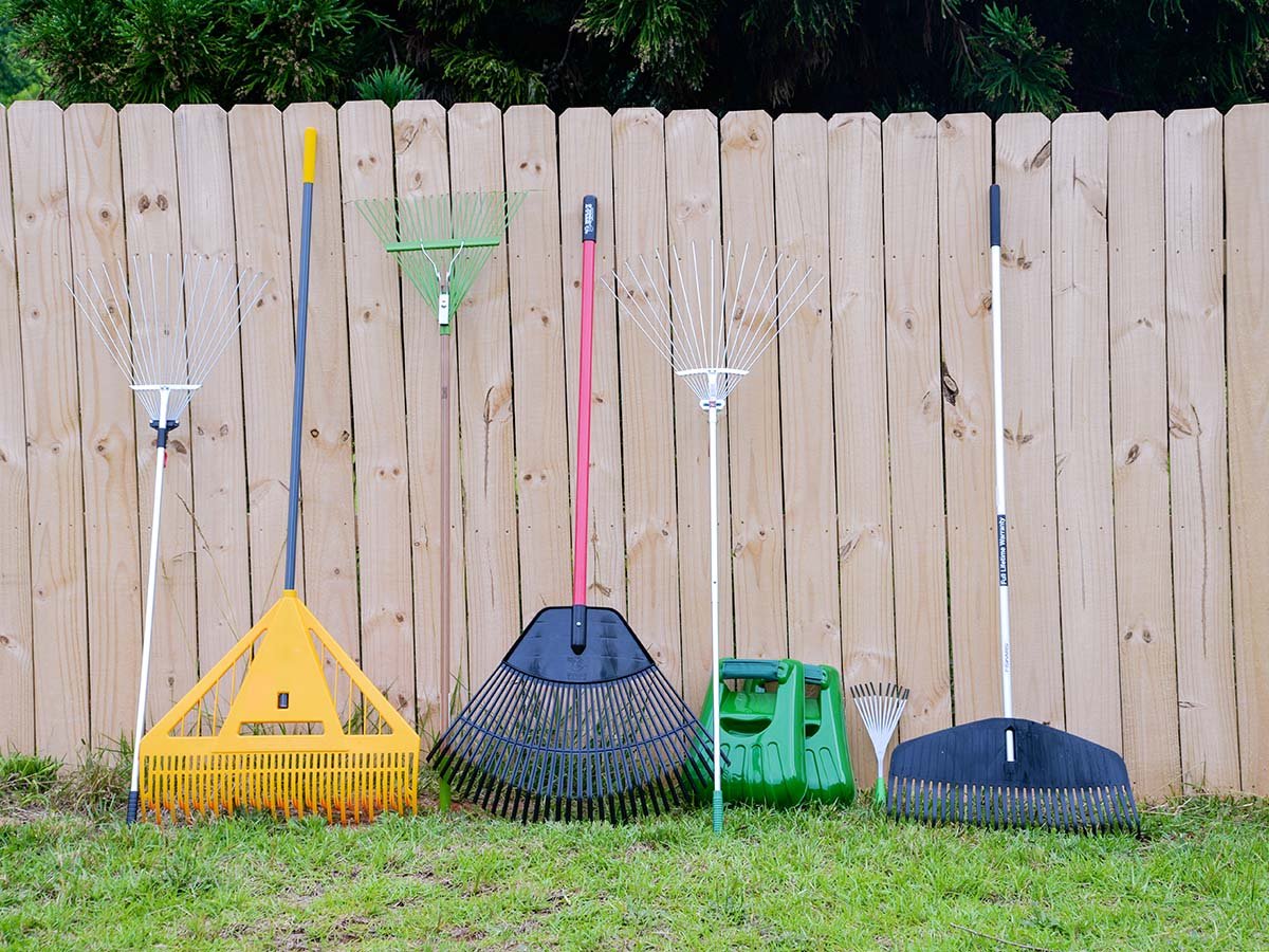 The best leaf rakes of 2026, tested and reviewed
