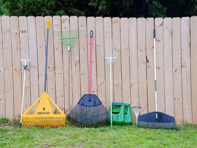 The best leaf rakes of 2026, tested and reviewed