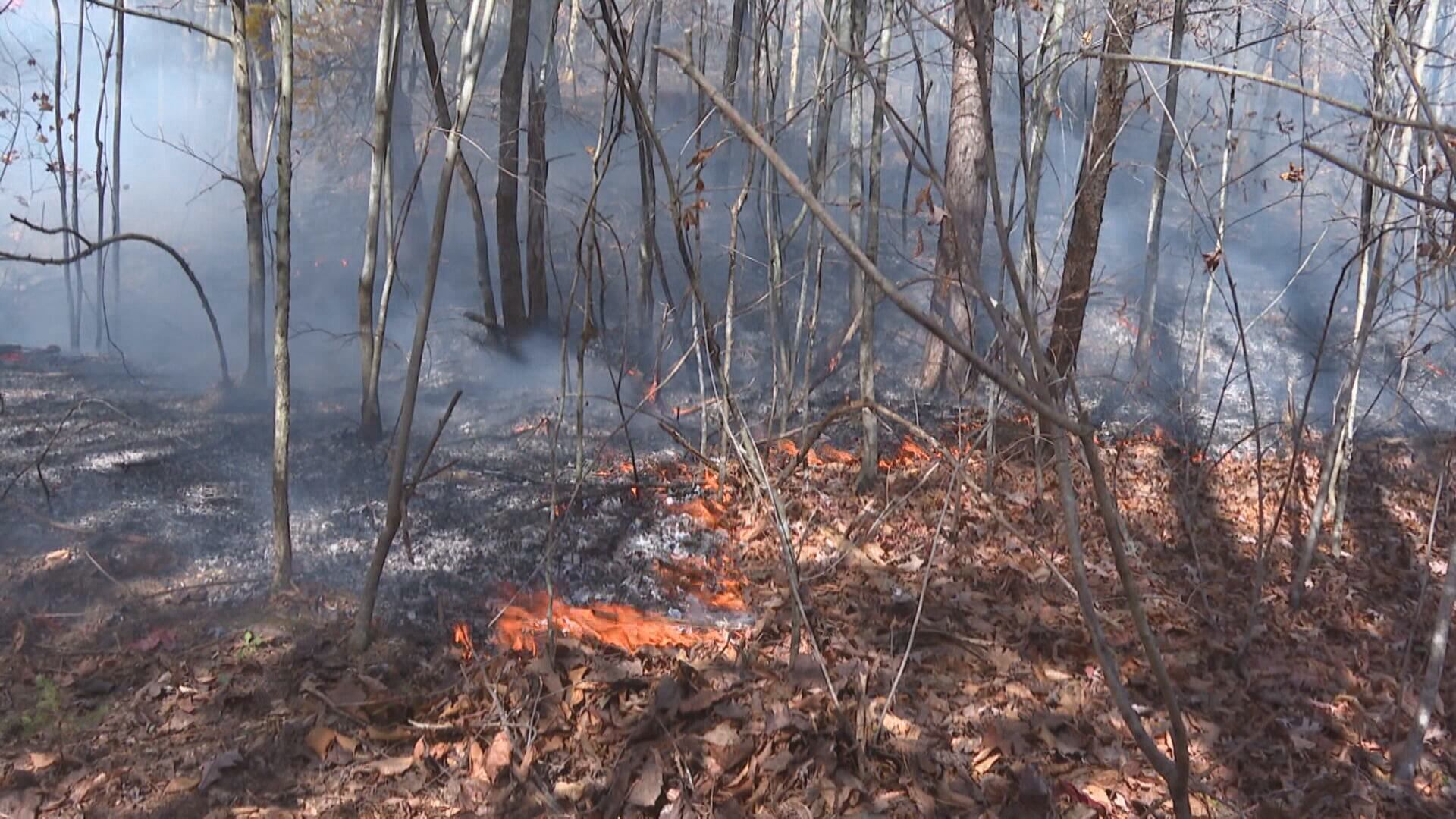 Fall fire season begins in Kentucky Thursday