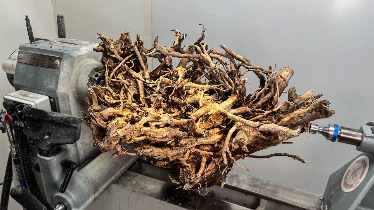 Scary tree root transformation with no resin