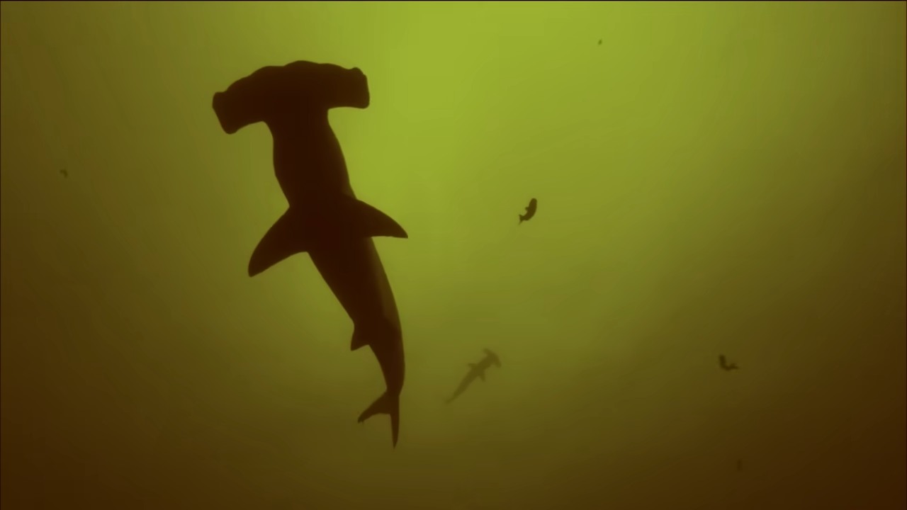 Scientists dropped a camera into an active underwater volcano... sharks ...
