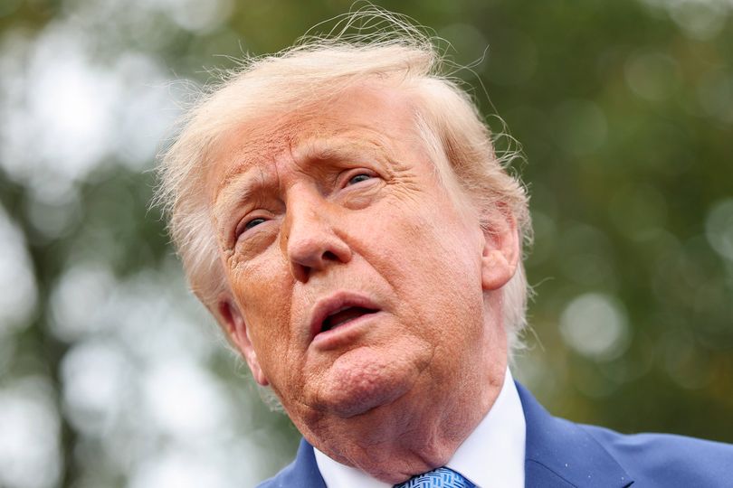 Donald Trump looks like Johnny Bravo as he shows off ridiculous new ...
