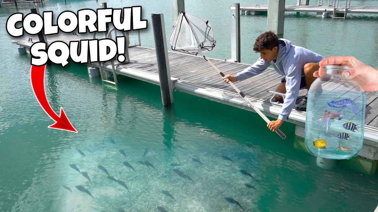 We netted colorful squid and micro fish!