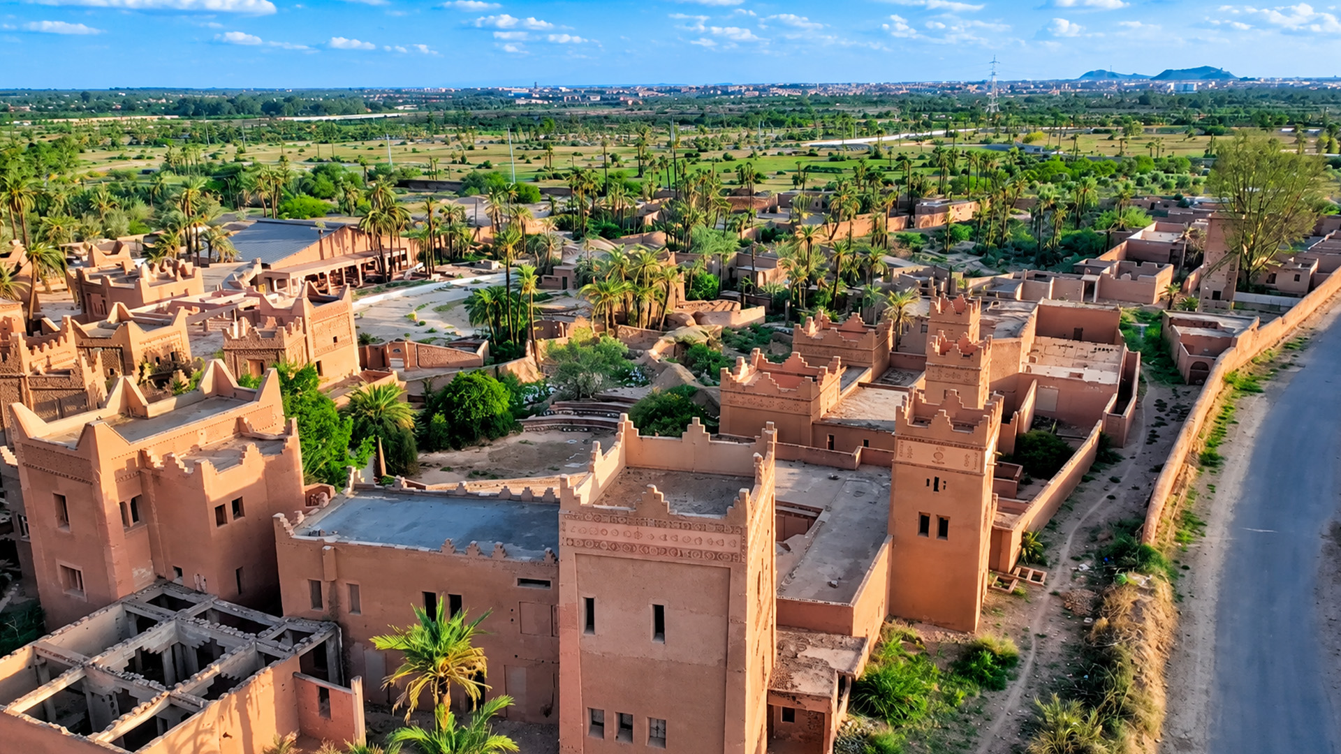 Palm trees rising above Marrakech’s traditional rooftops