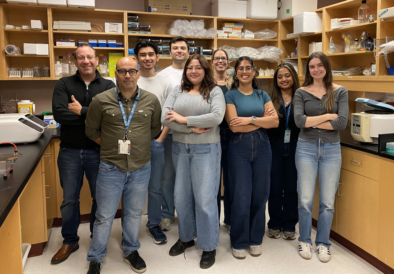 Brain blood vessels emerge as potential treatment target for autism ...