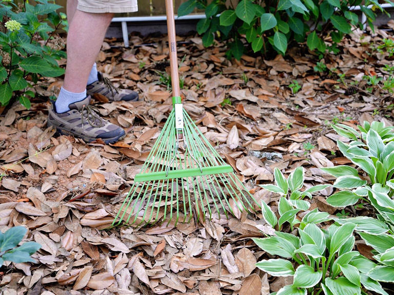 The best leaf rakes of 2026, tested and reviewed