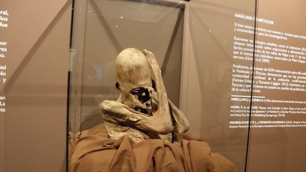 DNA results of Peru’s Paracas elongated skulls: A possible Black Sea ...