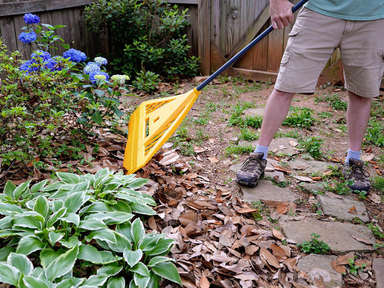 The best leaf rakes of 2026, tested and reviewed