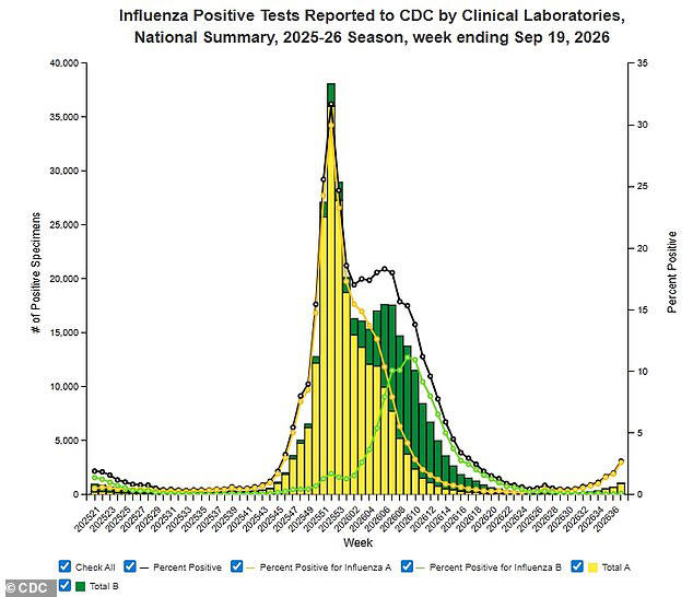 Doctor advises Americans to get their flu vaccines now as cases rise ...