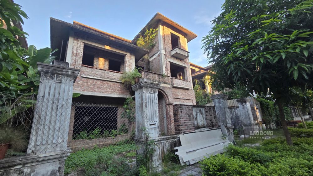 Loạt căn biệt thự không người ở, cỏ mọc um tùm tại Hà Nội