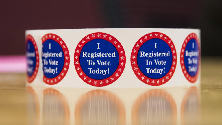 Am I registered to vote in Texas? How to check your voter registration ...
