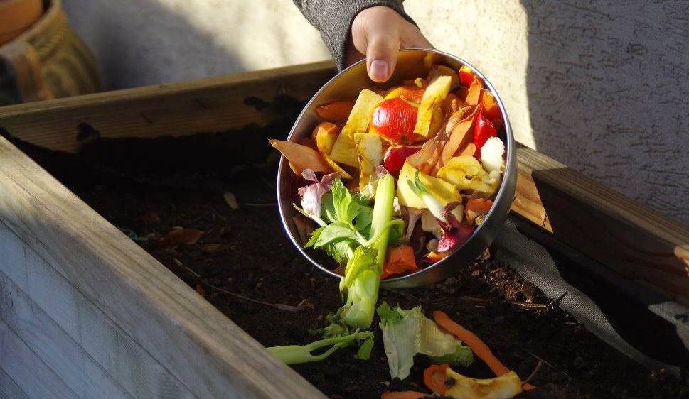 Cómo hacer compost en casa: guía paso a paso para aprovechar los ...