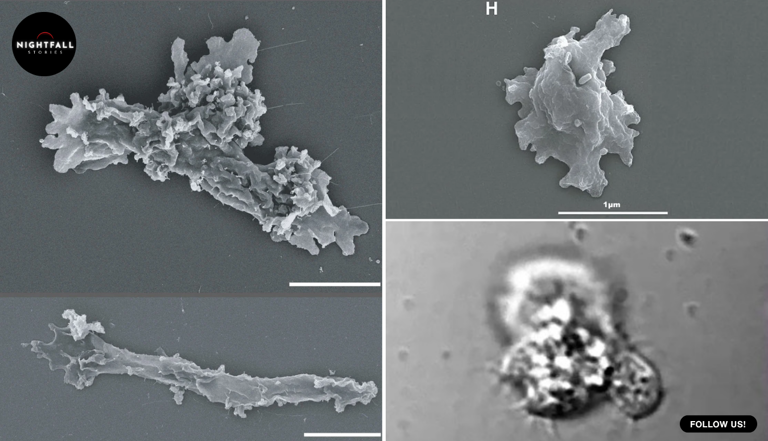 Complex life was supposed to stop at 60 degrees. Something in a ...