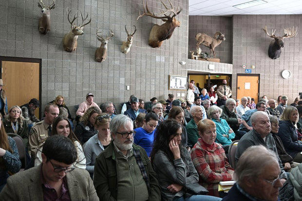 Colorado Parks and Wildlife suspends wolf depredation policy due to ...