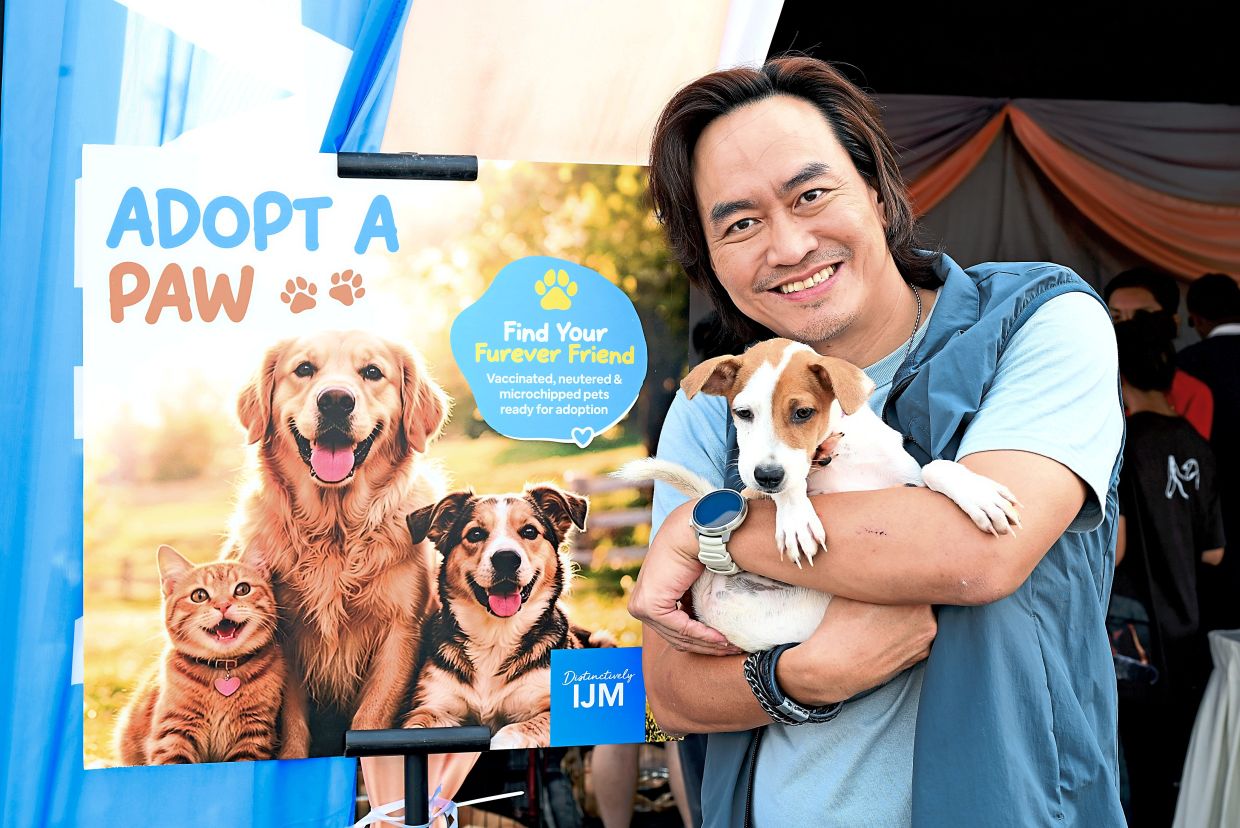 Developer, NGOs collaborate for dog adoption event
