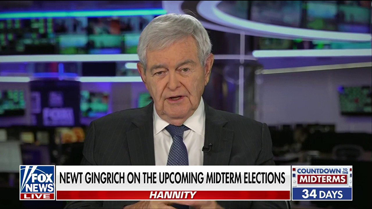 Newt Gingrich: The DSA’s platform wants to 'replace America'