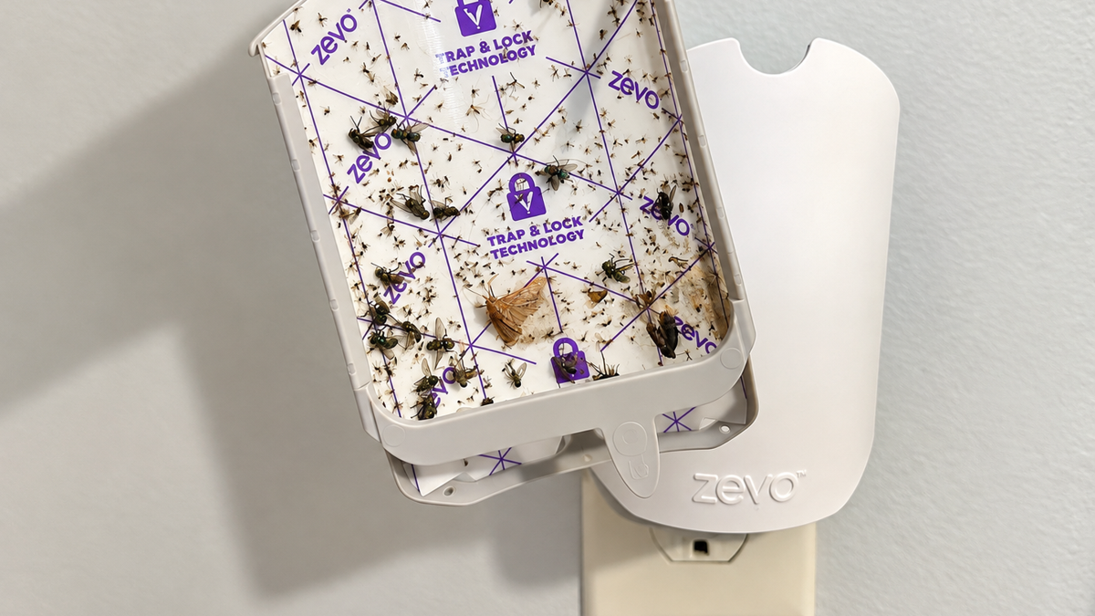 I tested the Zevo fly catcher: Here's how many bugs it caught overnight