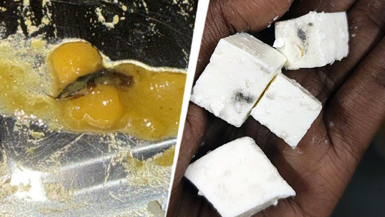 Insects and scorpion found at Lucknow University hostel food, students ...