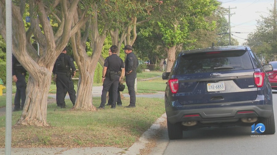 Swatting incident sends police to Norfolk home